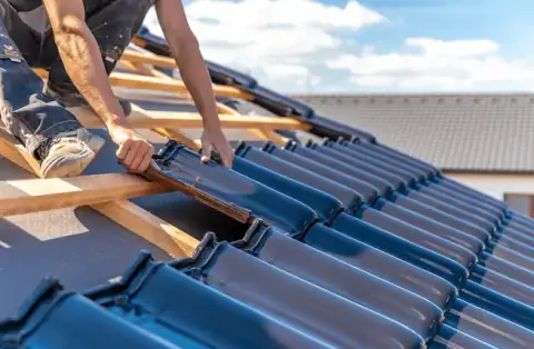 Couverture - Les Bois d'Anjou